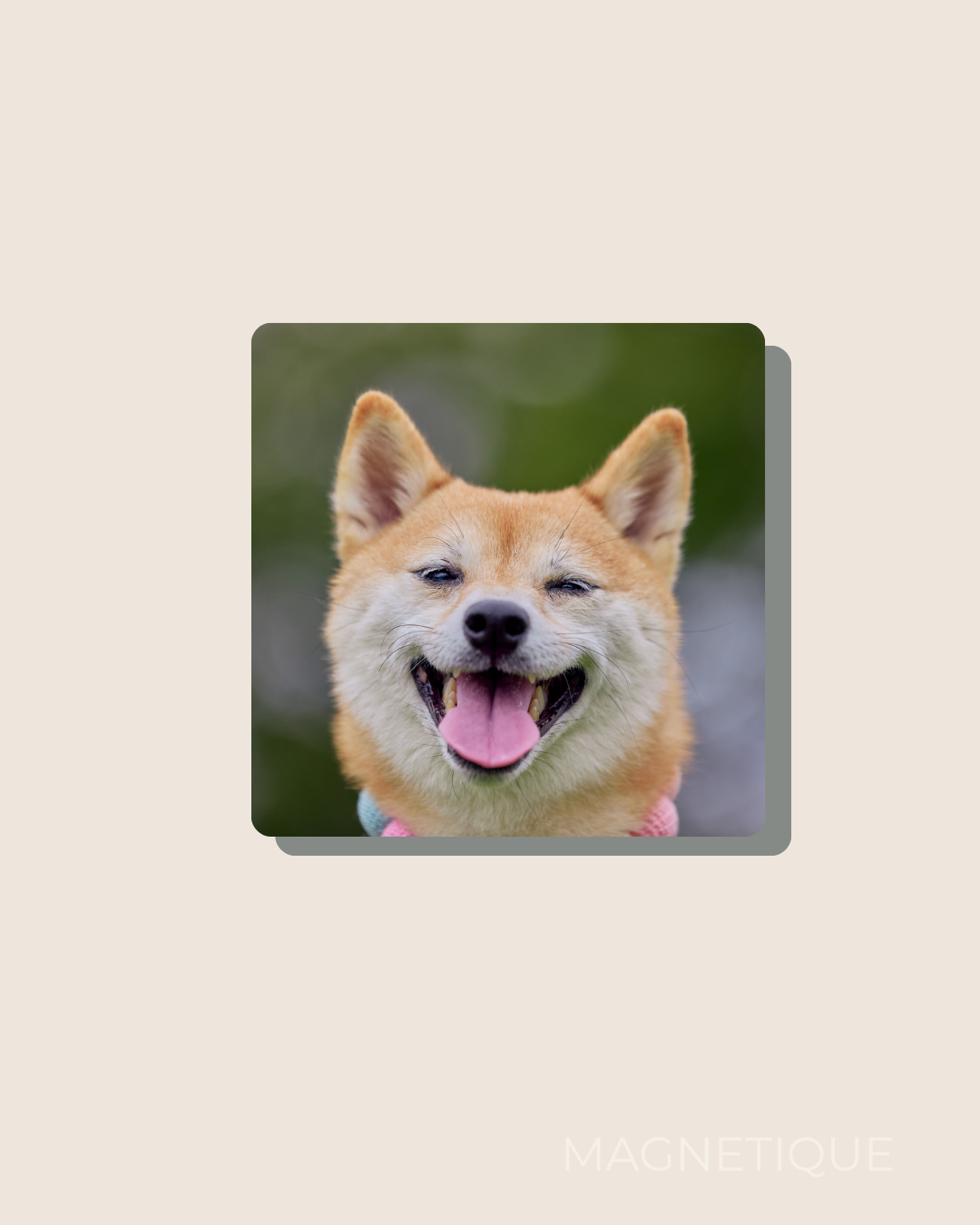文字入れ加工なし