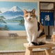 C-07 日本猫（三毛）